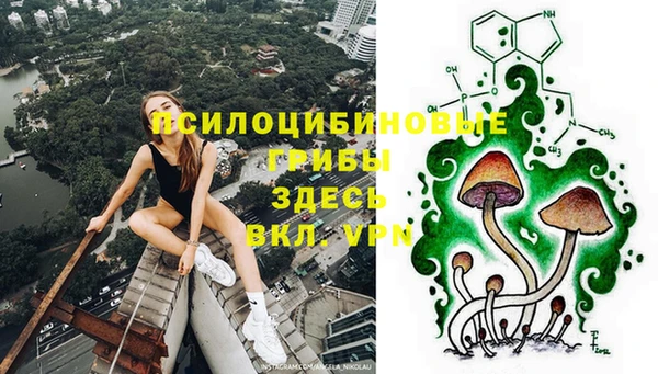 дмт Бронницы