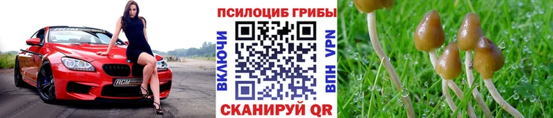 mega ссылки  Верхняя Тура  Галлюциногенные грибы ЛСД 